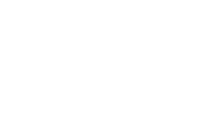 Lisans Ayakkabı